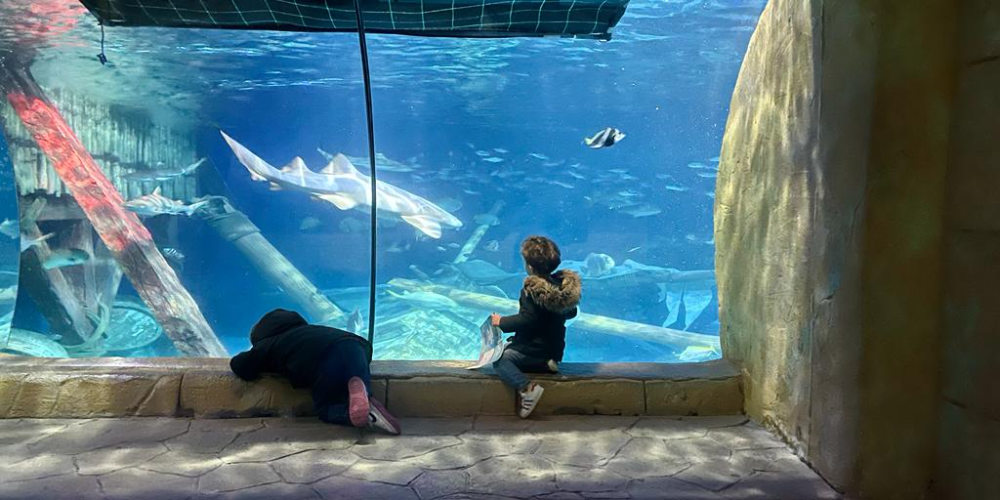 gardaland sea life autismo