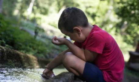 Autismo e natura: una connessione di amore e vita